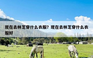 现在去林芝穿什么衣服？现在去林芝穿什么衣服好