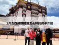 1月去西藏跟团游怎么样的简单介绍