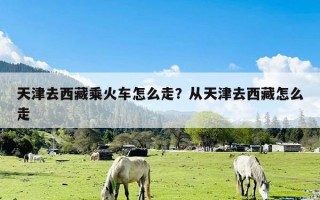 天津去西藏乘火车怎么走？从天津去西藏怎么走