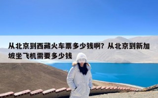 从北京到西藏火车票多少钱啊？从北京到新加坡坐飞机需要多少钱