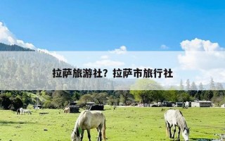 拉萨旅游社？拉萨市旅行社