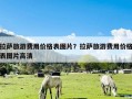 拉萨旅游费用价格表图片？拉萨旅游费用价格表图片高清