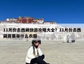 11月份去西藏旅游攻略大全？11月份去西藏需要带什么衣服
