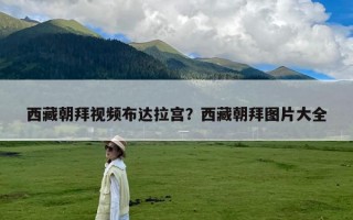 西藏朝拜视频布达拉宫？西藏朝拜图片大全