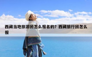 西藏当地旅游团怎么报名的？西藏旅行团怎么报