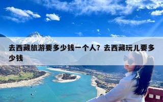 去西藏旅游要多少钱一个人？去西藏玩儿要多少钱
