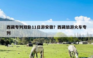 西藏专列双卧11日游安徽？西藏旅游火车专列