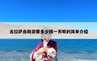 去拉萨自助游要多少钱一天呢的简单介绍