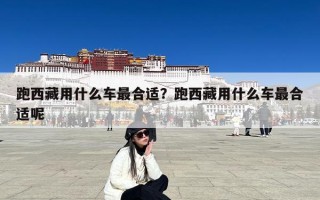 跑西藏用什么车最合适？跑西藏用什么车最合适呢