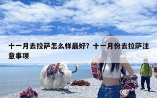 十一月去拉萨怎么样最好？十一月份去拉萨注意事项