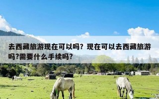 去西藏旅游现在可以吗？现在可以去西藏旅游吗?需要什么手续吗?