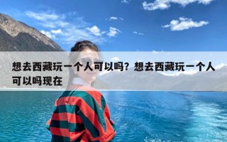 想去西藏玩一个人可以吗？想去西藏玩一个人可以吗现在