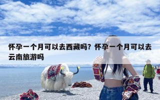 怀孕一个月可以去西藏吗？怀孕一个月可以去云南旅游吗