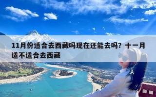 11月份适合去西藏吗现在还能去吗？十一月适不适合去西藏