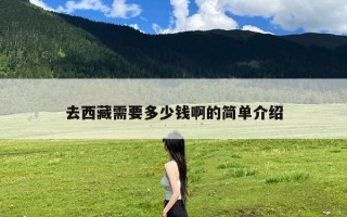 去西藏需要多少钱啊的简单介绍