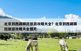 北京到西藏跟团旅游攻略大全？北京到西藏跟团旅游攻略大全图片