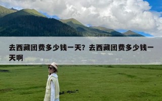 去西藏团费多少钱一天？去西藏团费多少钱一天啊