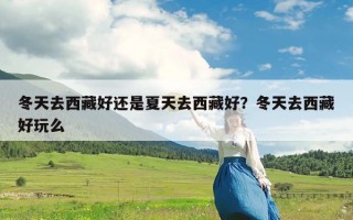 冬天去西藏好还是夏天去西藏好？冬天去西藏好玩么