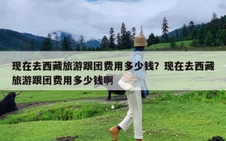 现在去西藏旅游跟团费用多少钱？现在去西藏旅游跟团费用多少钱啊