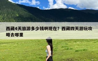 西藏4天旅游多少钱啊现在？西藏四天游玩攻略去哪里