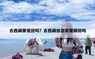 去西藏要报团吗？去西藏旅游需要跟团吗