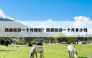 西藏旅游一个月规划？西藏旅游一个月多少钱