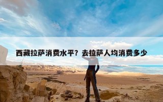 西藏拉萨消费水平？去拉萨人均消费多少