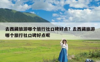 去西藏旅游哪个旅行社口碑好点？去西藏旅游哪个旅行社口碑好点呢