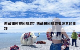 西藏如何抱团旅游？西藏报团旅游要注意的事项