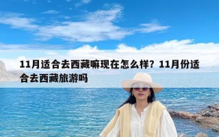 11月适合去西藏嘛现在怎么样？11月份适合去西藏旅游吗