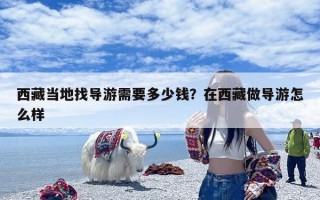 西藏当地找导游需要多少钱？在西藏做导游怎么样