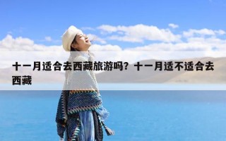 十一月适合去西藏旅游吗？十一月适不适合去西藏