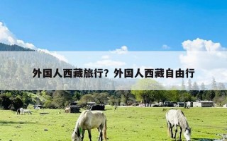 外国人西藏旅行？外国人西藏自由行