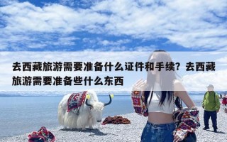 去西藏旅游需要准备什么证件和手续？去西藏旅游需要准备些什么东西