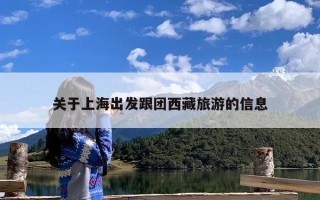 关于上海出发跟团西藏旅游的信息