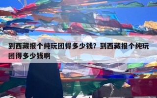 到西藏报个纯玩团得多少钱？到西藏报个纯玩团得多少钱啊
