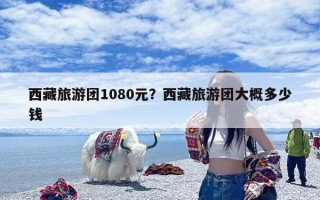 西藏旅游团1080元？西藏旅游团大概多少钱