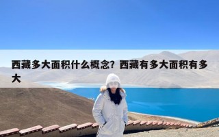 西藏多大面积什么概念？西藏有多大面积有多大