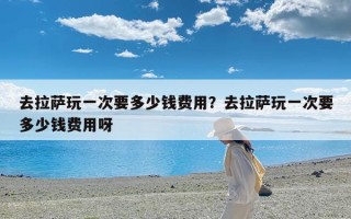 去拉萨玩一次要多少钱费用？去拉萨玩一次要多少钱费用呀