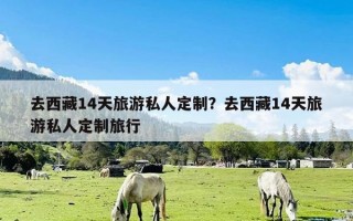 去西藏14天旅游私人定制？去西藏14天旅游私人定制旅行