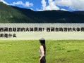 西藏自助游的大体费用？西藏自助游的大体费用是什么