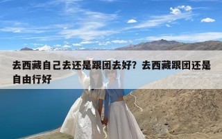 去西藏自己去还是跟团去好？去西藏跟团还是自由行好