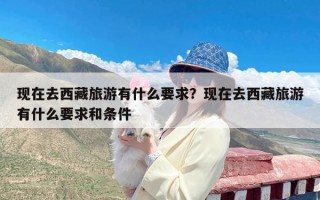 现在去西藏旅游有什么要求？现在去西藏旅游有什么要求和条件