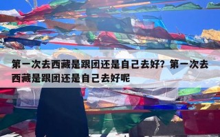 第一次去西藏是跟团还是自己去好？第一次去西藏是跟团还是自己去好呢