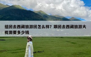 组团去西藏旅游团怎么样？跟团去西藏旅游大概需要多少钱
