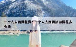 一个人去西藏花费？一个人去西藏旅游要花多少钱
