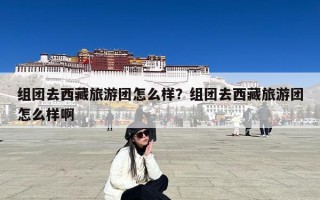 组团去西藏旅游团怎么样？组团去西藏旅游团怎么样啊