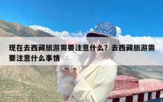 现在去西藏旅游需要注意什么？去西藏旅游需要注意什么事情