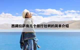 西藏拉萨有几个旅行社啊的简单介绍