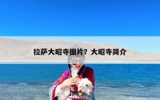 拉萨大昭寺图片？大昭寺简介